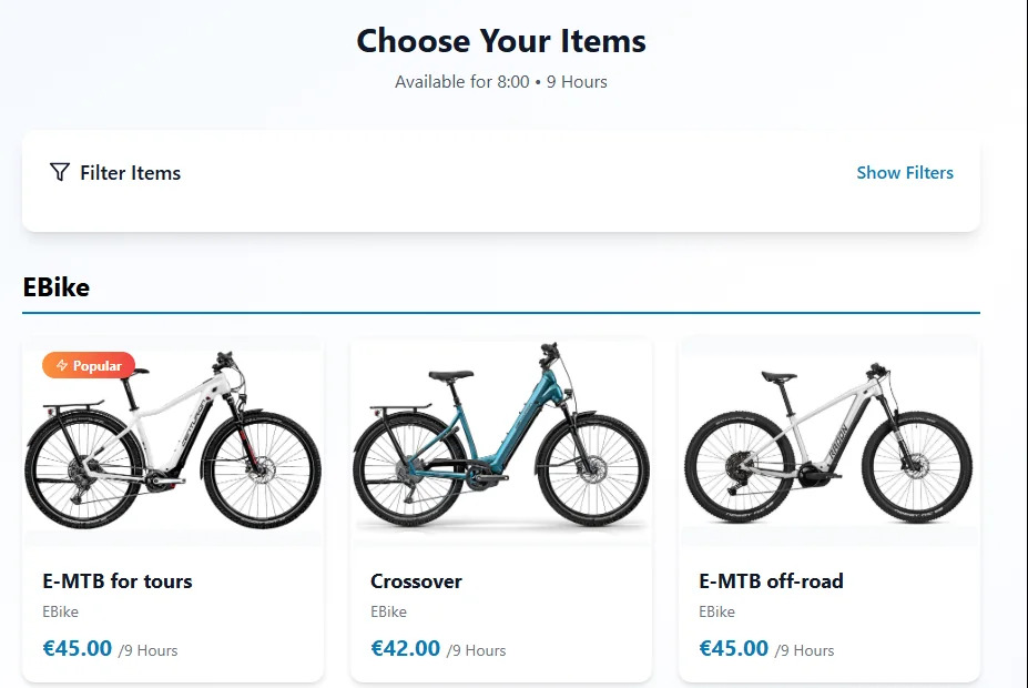 Store: choose your items, e-bikes and standard bikes with prices per rental period